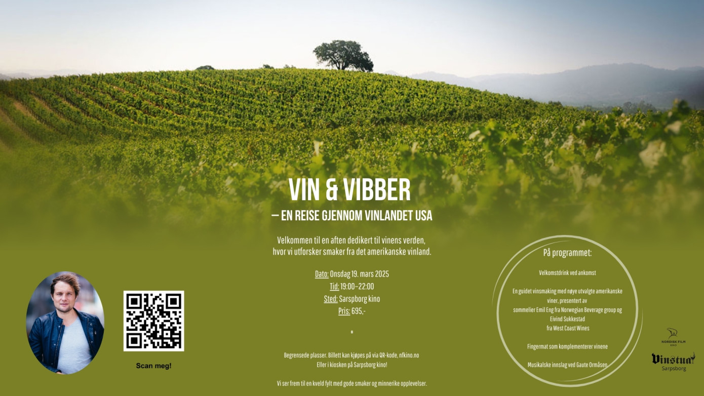 vin & vibber