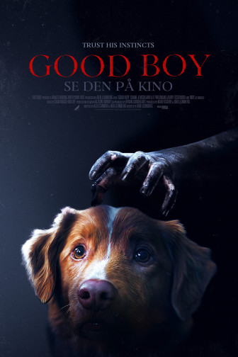 Good Boy