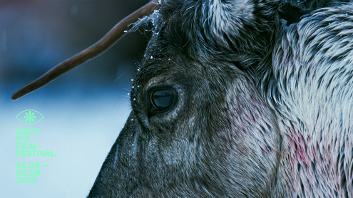 la fjella leve